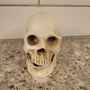 Tiny Firepit Burning Skull